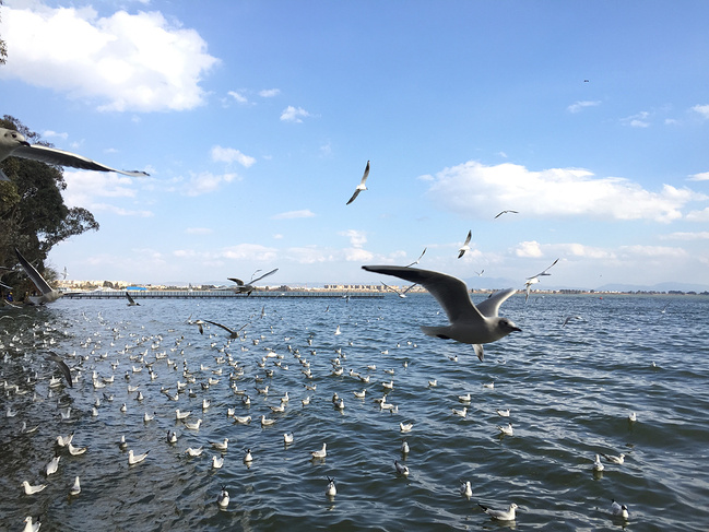 昆明康辉旅行社