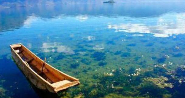 泸沽湖的“水性杨花”开的最美？？